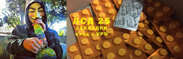 эйфоретик Ладушкин